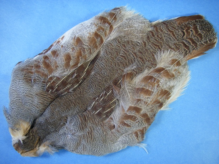 Hungarian Partridge Skin - Natural - Click Image to Close